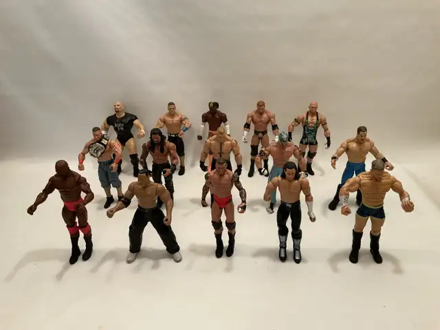 WWE Action Figure Lot – 15 Figures! Great Deal