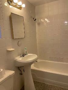 Logement 2 1/2 à louer ( Rosemont La petite Patrie ) - Photo 4