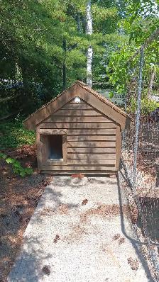 Cedar Insulated Doghouse