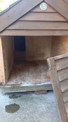 Cedar Insulated Doghouse - Photo 6