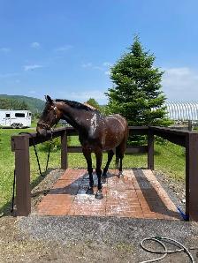 2 spots Outdoor Board available - Photo 4