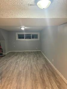 Bi level basement for Rent