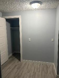Bi level basement for Rent - Photo 4