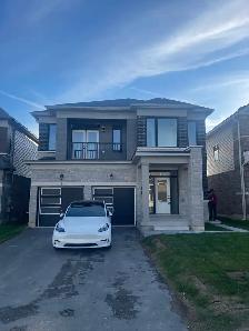 2 Rooms Available in a New 3 Bedroom House for Rent in Barrie