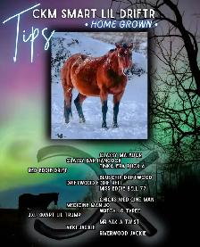 2026 AQHA Filly - Photo 10