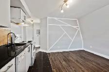 Amazing 1-Bed Unit, Downtown, Fast Internet, AC, Laundry, July1