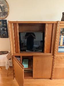 30' LG TV