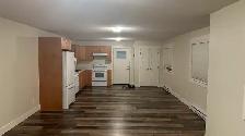 Spacious 2-bedroom basement suite in Salmon Arm for rent - Photo 2