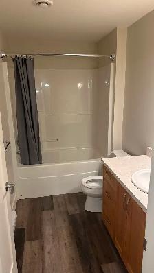 Spacious 2-bedroom basement suite in Salmon Arm for rent - Photo 7