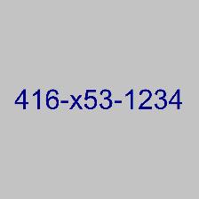 ViP Toronto 416 Memorable Super Easy Phone Number