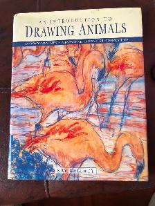 An Introduction to Drawing Animals Anatomy - Hardcover