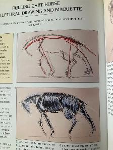 An Introduction to Drawing Animals Anatomy - Hardcover - Photo 4
