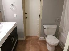 UWO Off Campus Rent - 3 BEDROOMS FOR 3 MALE STUDENTS - Photo 4