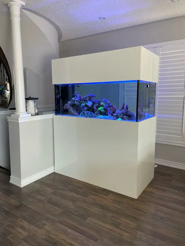 Aquarium / Fish Tank Cleaning, Maintenance, Service