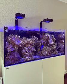 Aquarium / Fish Tank Cleaning, Maintenance, Service - Photo 2
