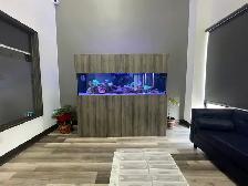 Aquarium / Fish Tank Cleaning, Maintenance, Service - Photo 3