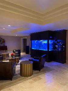 Aquarium / Fish Tank Cleaning, Maintenance, Service - Photo 4