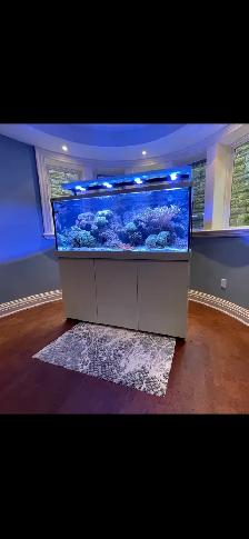 Aquarium / Fish Tank Cleaning, Maintenance, Service - Photo 5