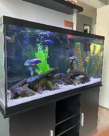 Aquarium / Fish Tank Cleaning, Maintenance, Service - Photo 6