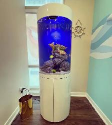 Aquarium / Fish Tank Cleaning, Maintenance, Service - Photo 7