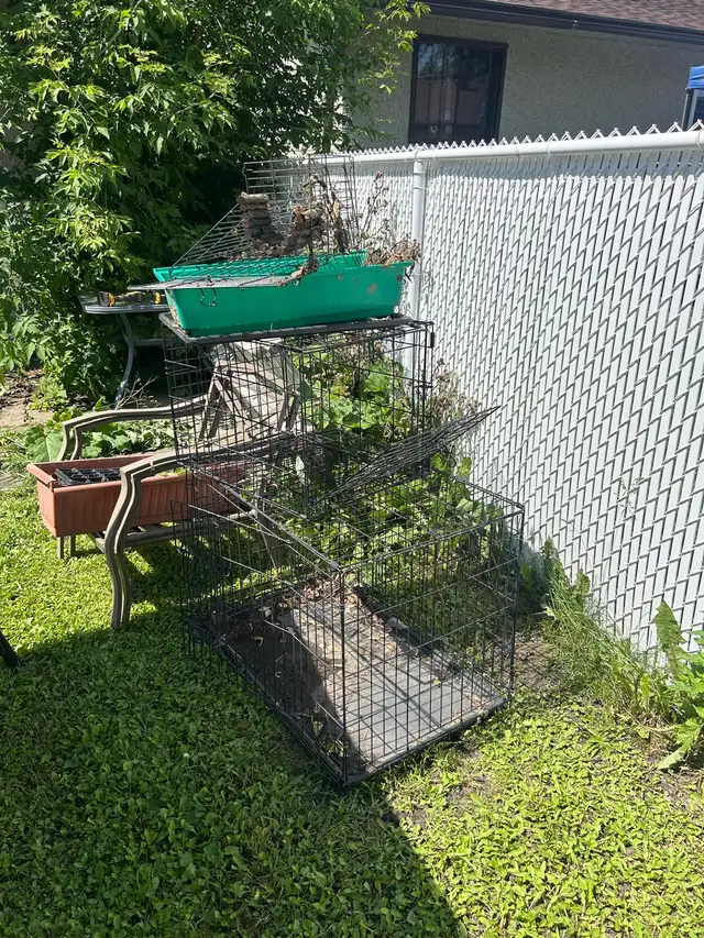 animal cages free