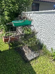 animal cages free