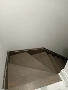 Three-bedroom (Large, spacious, and high-ceiling) basement