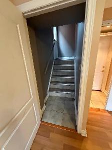 Basement for Rent