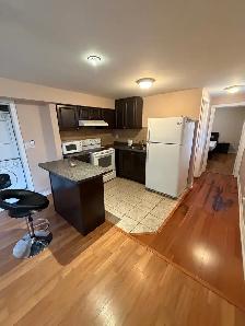 Basement for Rent - Photo 4