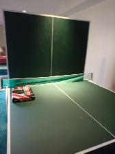 Regulation Ping Pong Table - Photo 8