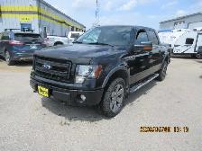 2013 Ford F-150 SE - Photo 2