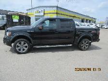 2013 Ford F-150 SE - Photo 3