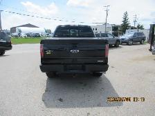 2013 Ford F-150 SE - Photo 5