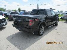 2013 Ford F-150 SE - Photo 6
