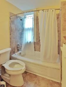 CentreTown, Ottawa - One-Bedroom Apartment, Newly Renovated - Photo 10
