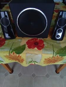 Haut-parleurs Logitech modèle Z 523