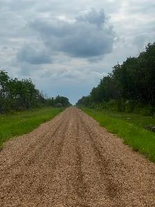 Ardmore Lot for sale - Photo 2