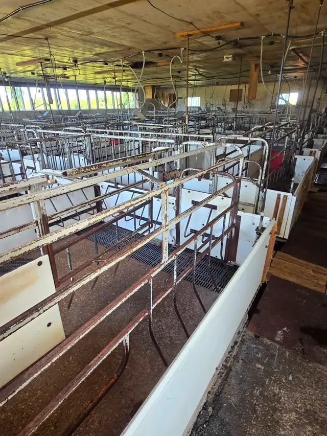 Farrowing pens for nursing sows
