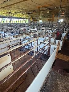 Farrowing pens for nursing sows