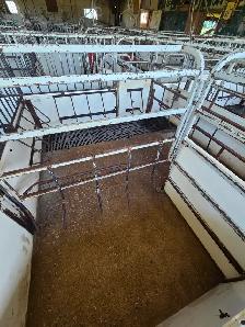 Farrowing pens for nursing sows - Photo 3