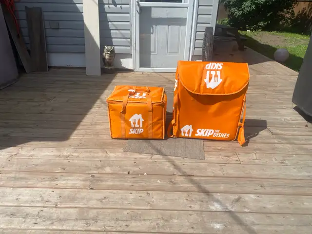 Skip the dishes delivery bags