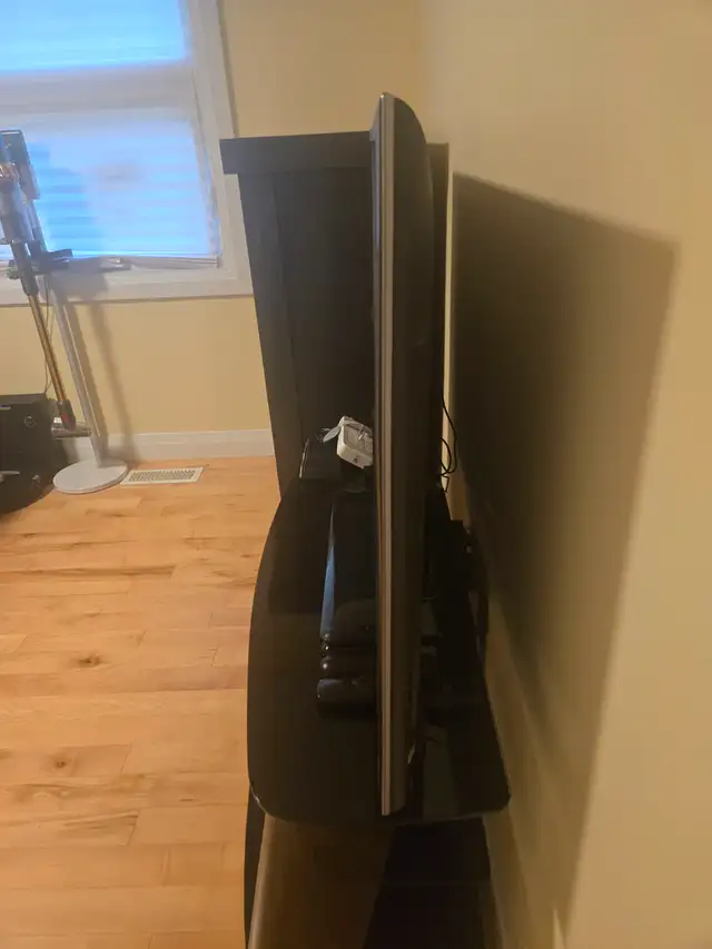 SONY TV AND TC STAND 100$