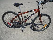 THIN BLUE LINE -  Bike, (Practically NEW).