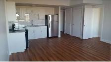 Lake facing 2 bedroom walkout basement Rent$1800 Utilites shared - Photo 2