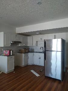 Lake facing 2 bedroom walkout basement Rent$1800 Utilites shared - Photo 3
