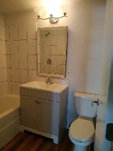 Lake facing 2 bedroom walkout basement Rent$1800 Utilites shared - Photo 12