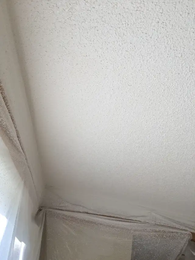 all for $1.0/SF Ceiling texturing, priming ceiling, wall poly pr