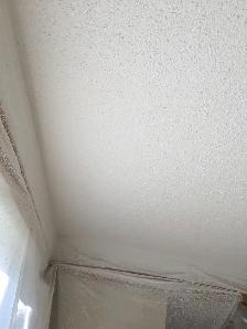 all for $1.0/SF Ceiling texturing, priming ceiling, wall poly pr