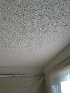 all for $1.0/SF Ceiling texturing, priming ceiling, wall poly pr - Photo 2