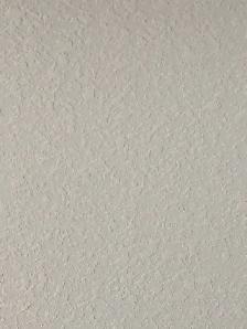 all for $1.0/SF Ceiling texturing, priming ceiling, wall poly pr - Photo 3